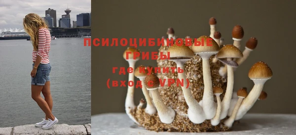 скорость Аркадак