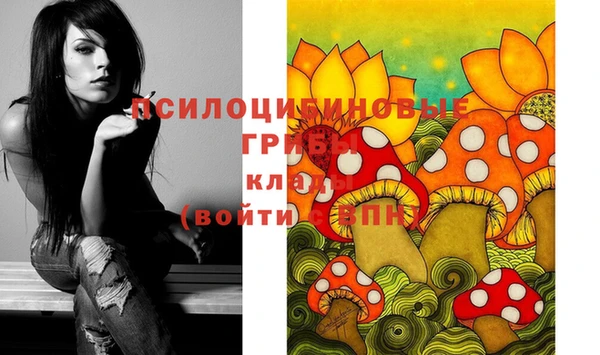 меф Арсеньев